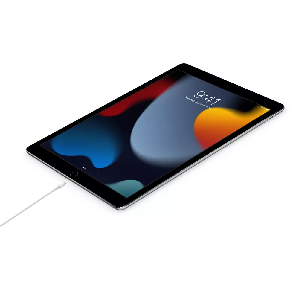 Apple - Lightning to USB-C Cable - 1m